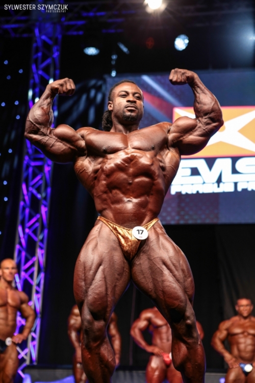 EVLS PRO Prague 2015