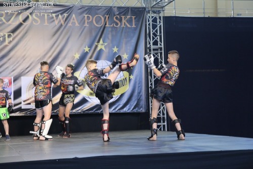 MMP NABBA/WFF 2019