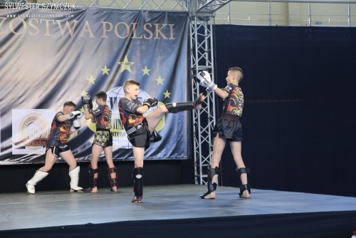 MMP NABBA/WFF 2019