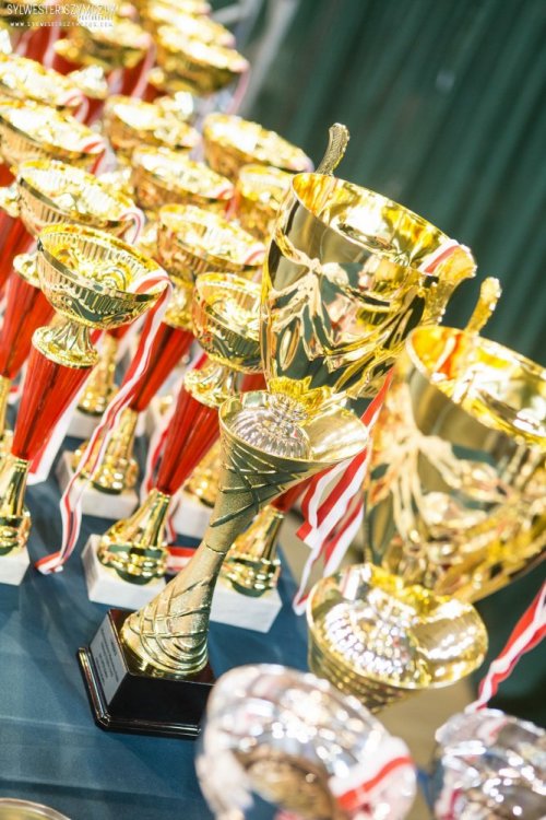 MMP NABBA/WFF 2019