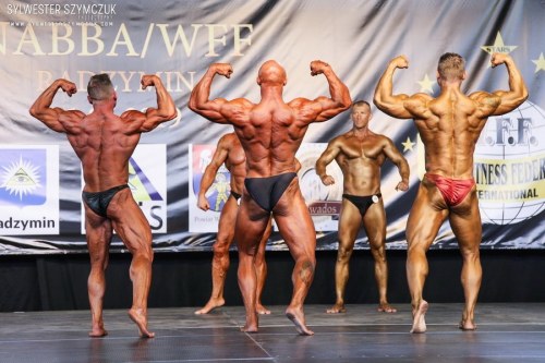MMP NABBA/WFF 2019
