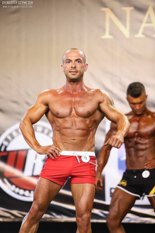 MMP NABBA/WFF 2019