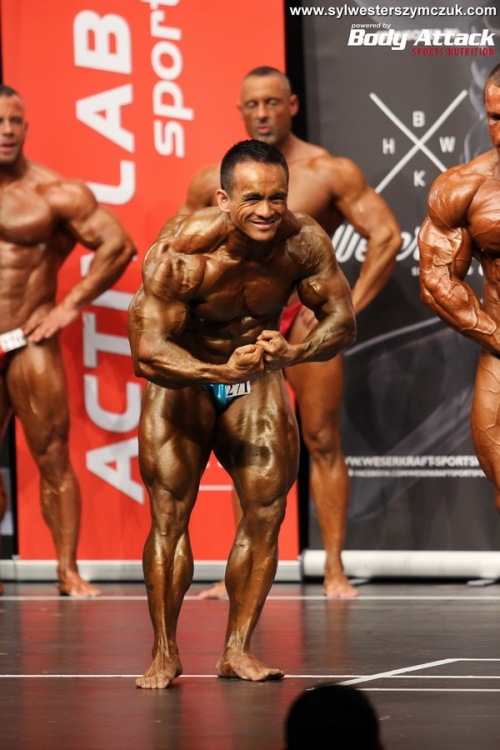 MS MR Universe Hamburg 2014