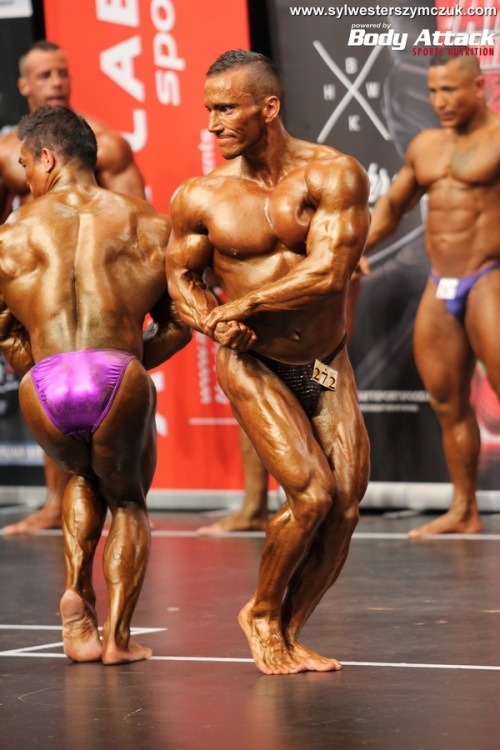 MS MR Universe Hamburg 2014
