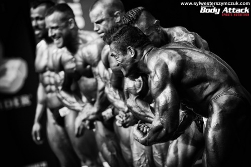 MS MR Universe Hamburg 2014