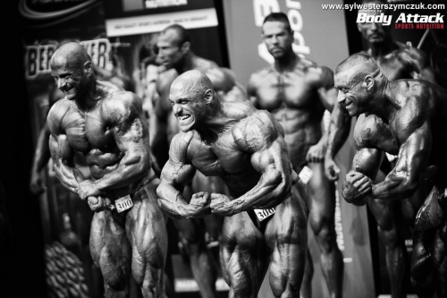 MS MR Universe Hamburg 2014