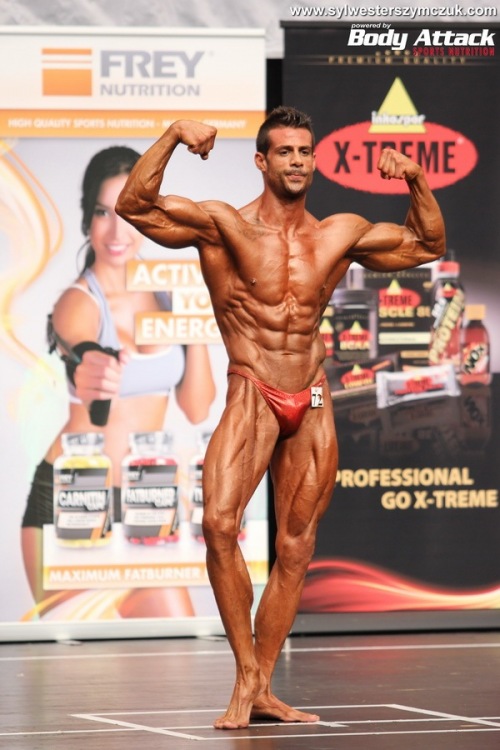 MS MR Universe Hamburg 2014
