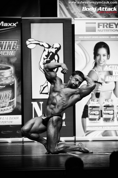 MS MR Universe Hamburg 2014