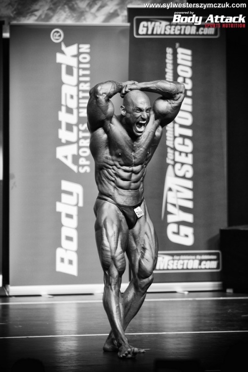 MS MR Universe Hamburg 2014
