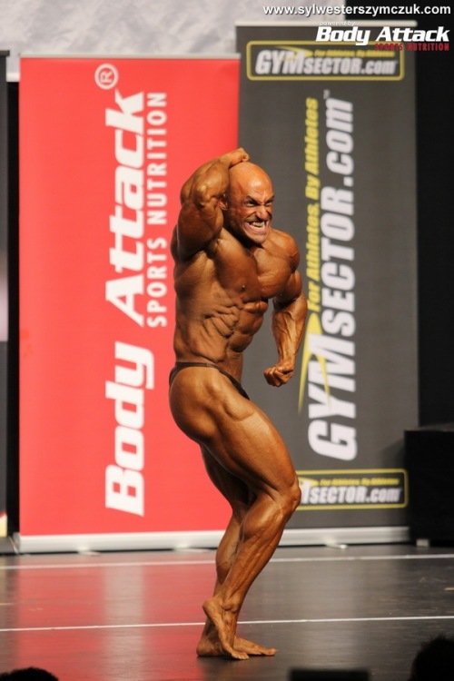 MS MR Universe Hamburg 2014