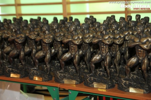 Puchar Polski PZKFiTS IFBB Mińsk Maz. 2014